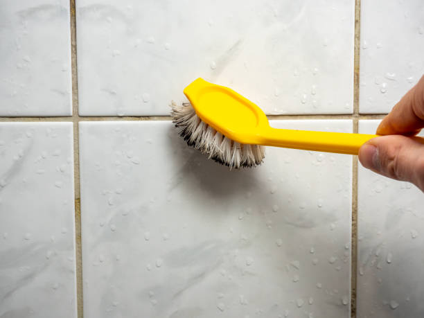 Best Best Mold Removal Companies  in Ballard, UT