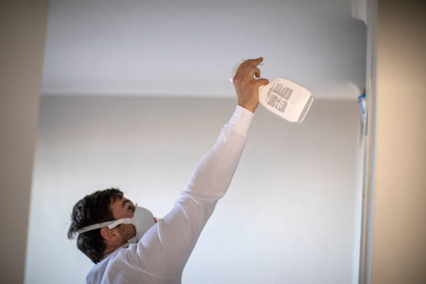 Best Office Mold Removal Services  in Ballard, UT