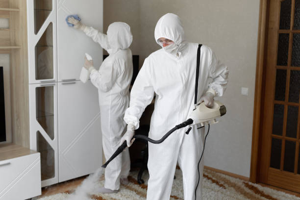Best Commercial Mold Removal  in Ballard, UT