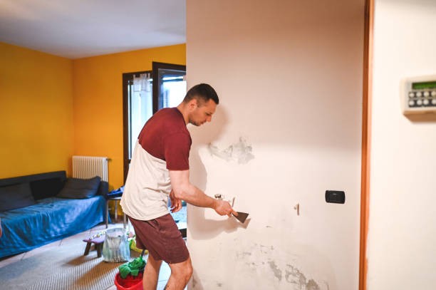 Best Same-Day Mold Removal  in Ballard, UT